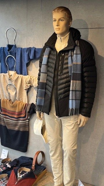 Wellensteyn einzelteil 170€